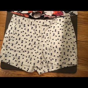 Ann Taylor Devin City shorts (3 pair bundle)